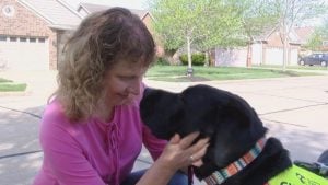 A woman in a pink shirt with light brown shoulder-length wavy hair is nose to nose with her seeing-eye dog as she holds his face in her hands.