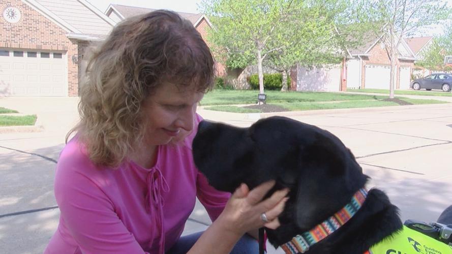 A woman in a pink shirt with light brown shoulder-length wavy hair is nose to nose with her seeing-eye dog as she holds his face in her hands.