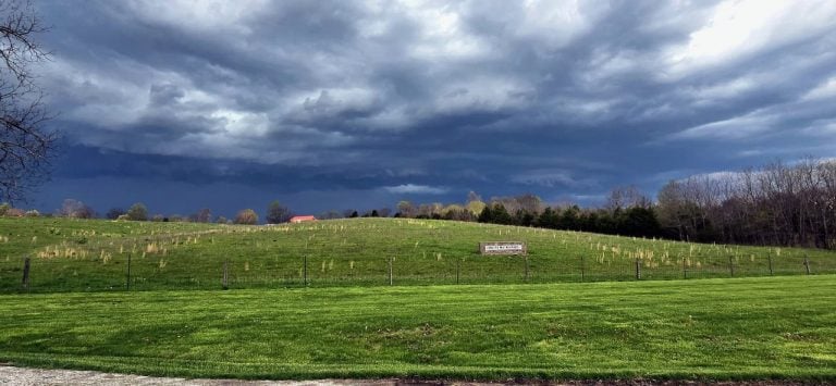 The Loretto Motherhouse entrance in Kentucky. A sprawling bright green grassy hill with a fence to keep in the cows and a sign that says "Loretto Motherhouse" in the distance. Half the frame are large pillowy clouds on a darker blue and grey day.