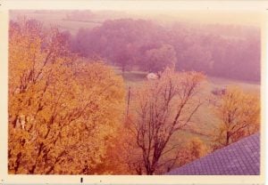Old, undated photo of a house in the distance, taken from a rooftop. The house is nestled in a copse of trees and is framed by the golden leaves of the trees in the foreground.