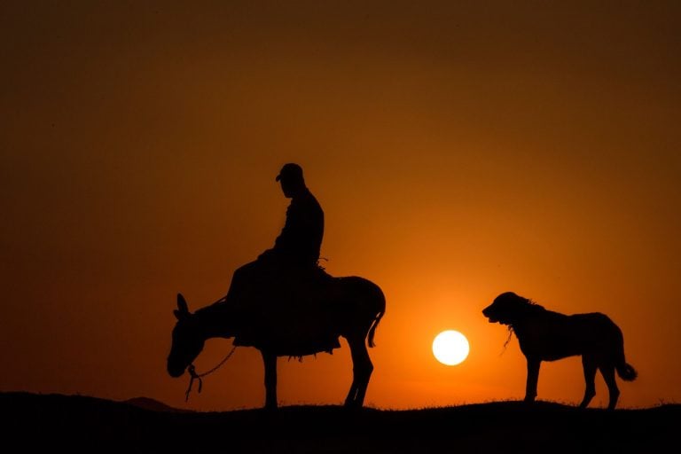 silhouette of rider and dog at sunset in kayseri