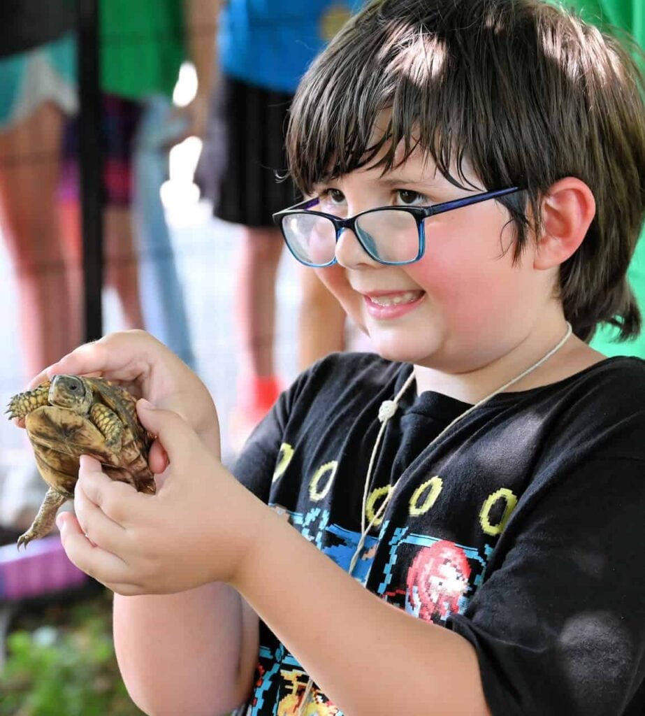 An elementary school aged child with brown hair and blue glasses holds a small turtle and is excited to show it off.