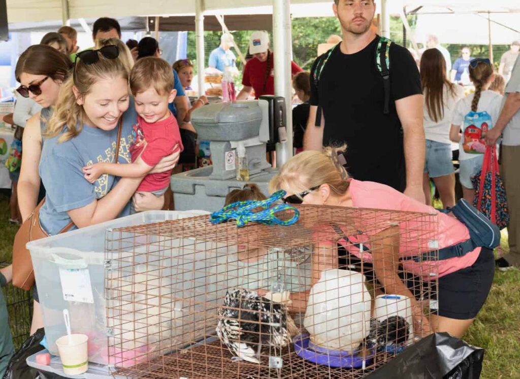 A woman holding her child as they look excitedly down at chickens in a bin at Ag Bash 2026.