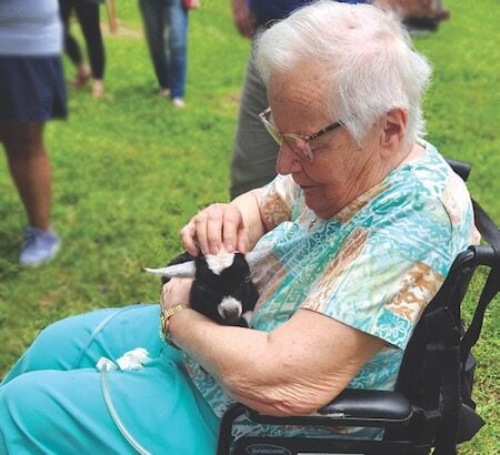 A senior woman in a blue outfit sits in a wheelchair holding a baby goat.