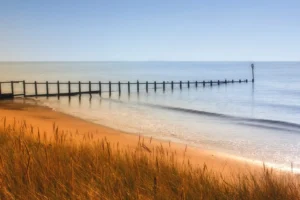 Yellow field shoreline sea