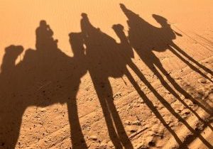 Shadows of three camels and their riders stretch across the desert sand.
