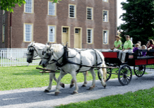 Visitors enjoy a carriage ride through historic Shaker Village with a white horse.