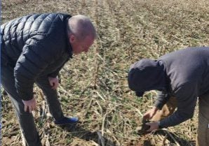 Two men bent over observing the soil and crop in a field wearing light jackets on a sunny day.