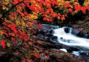 Photo of a small waterfall cascading down rocks in the midst of a rocky scene surround by trees with changing fall leaves of red, yellow, green and orange.