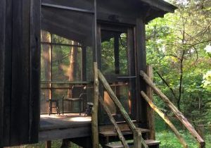A view of a screened-in porch on a wood cabin in the woods.