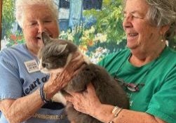 Two older women lovingly cuddle a large, fluffy gray-and-white cat.
