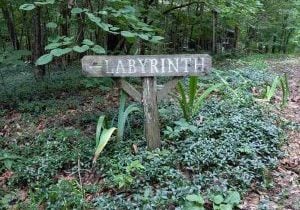 A wooden sign that says, "Labyrinth" in a green forest.