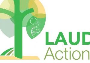 Image of portion of Laudato Si' Action Platform logo