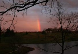 A rainbow is seen through bare branches, glowing amidst the evening clouds.